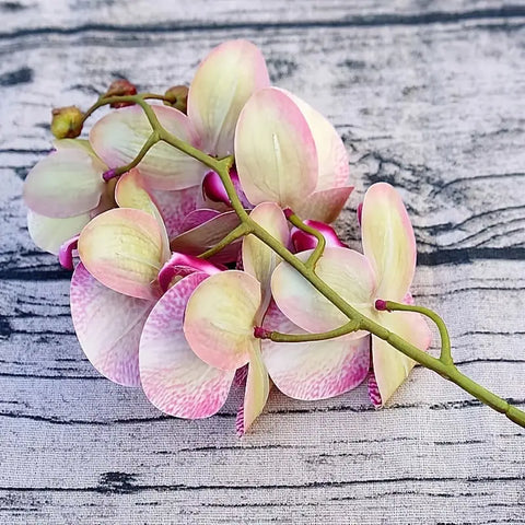 Image of Artificial 6-Head Phalaenopsis Orchid