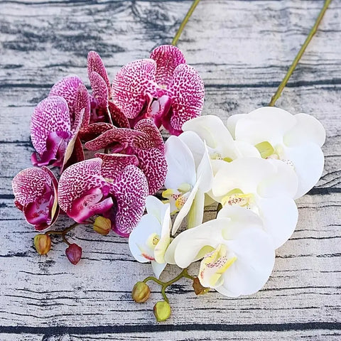 Image of Artificial 6-Head Phalaenopsis Orchid