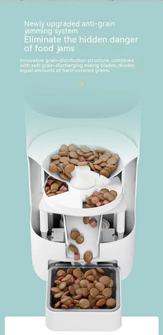 Image of 6L Automatic Pet Feeder