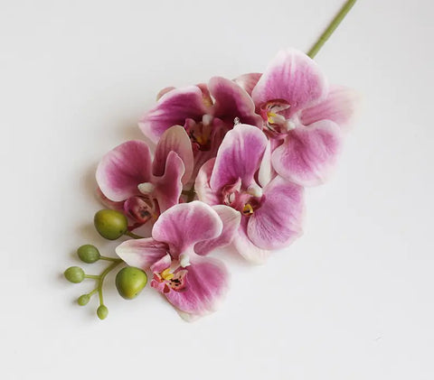Image of Artificial 6-Head Phalaenopsis Orchid