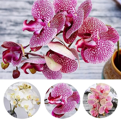 Image of Artificial 6-Head Phalaenopsis Orchid