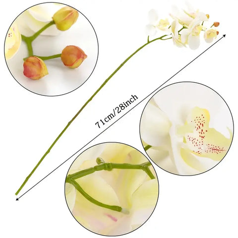 Image of Artificial 6-Head Phalaenopsis Orchid