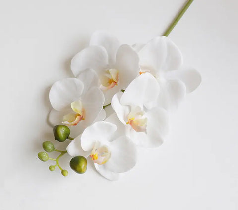 Image of Artificial 6-Head Phalaenopsis Orchid