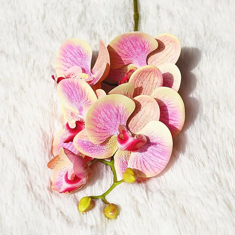 Image of Artificial 6-Head Phalaenopsis Orchid
